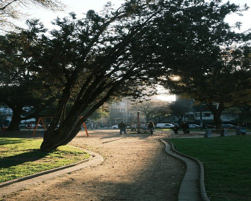 A person taking a break during a sunny afternoon walk in a local park